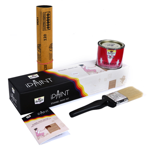 iPaint Enamel Paint Kit